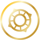 Life Saver Financial Solutions logo